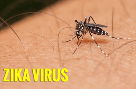 Phòng chống bệnh do virus Zika và sốt xuất huyết